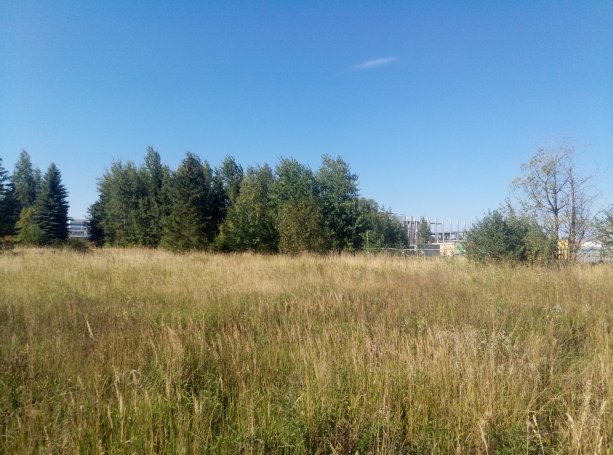 Гринго построит завод вилочных погрузчиков за 1 млрд.руб в Технополис Москва.